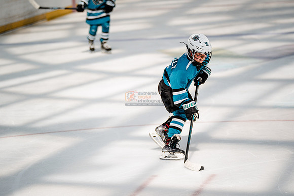 Sharks-may3-0286