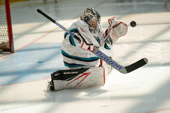 sharks-may2-0015