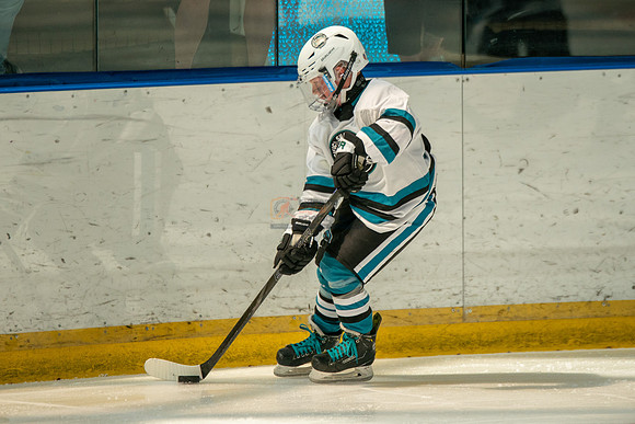 sharks-may2-0234