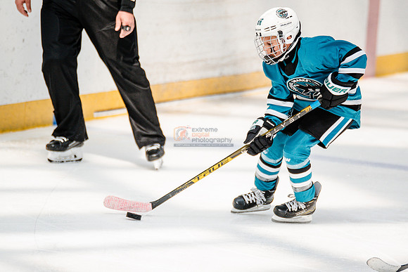 Sharks-may3-0255
