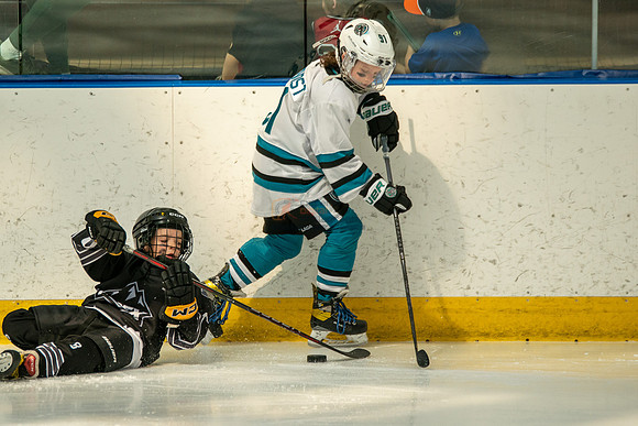 sharks-may2-0210