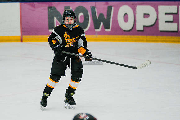 hawksnov92024-282