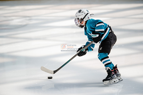 Sharks-may3-0101
