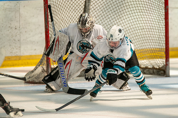 sharks-may2-0364