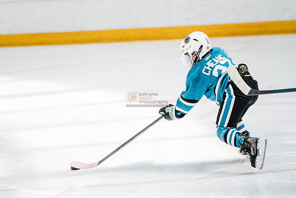 Sharks-may3-0304