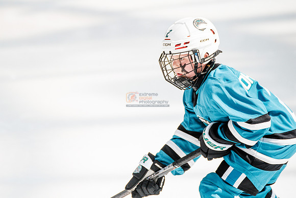 Sharks-may3-0315