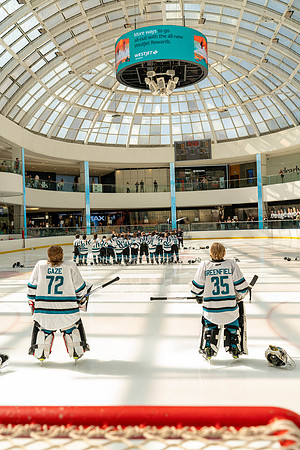 sharks-may2-9580