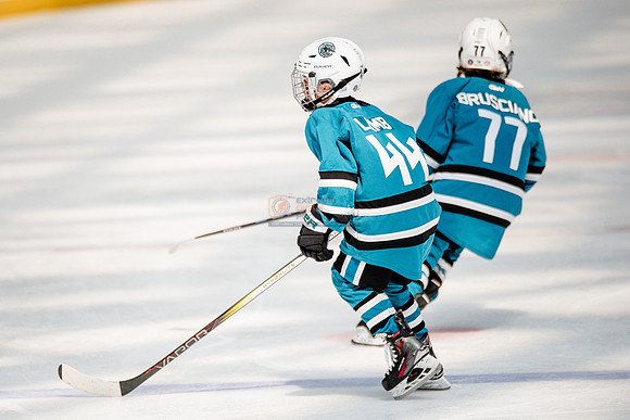 Sharks-may3-0260