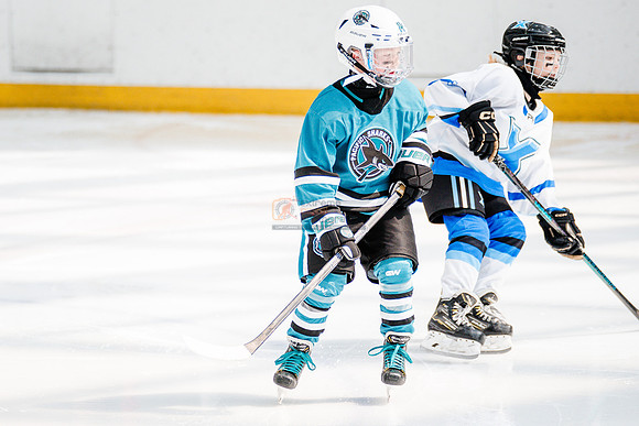 Sharks-may3-0070