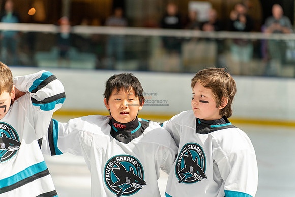 sharks-may2-9570