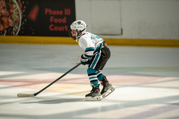 sharks-may2-0391