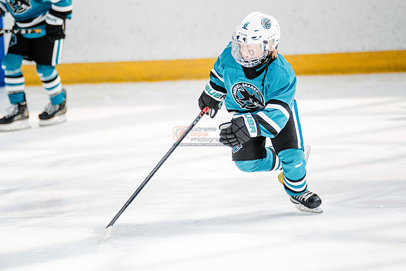 Sharks-may3-0120