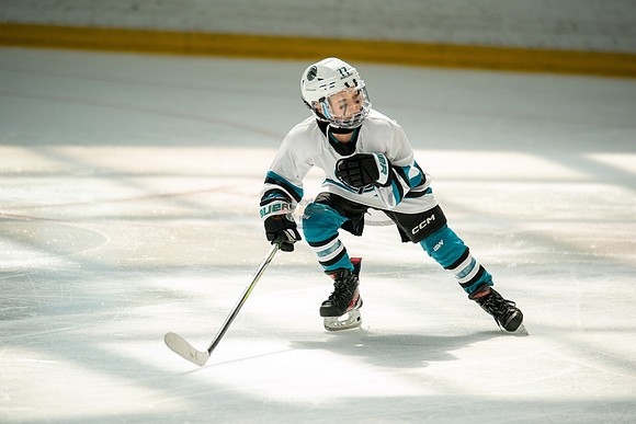 sharks-may2-0319
