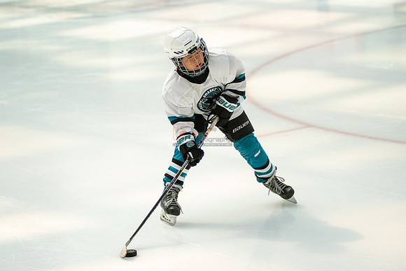 sharks--may1-0028