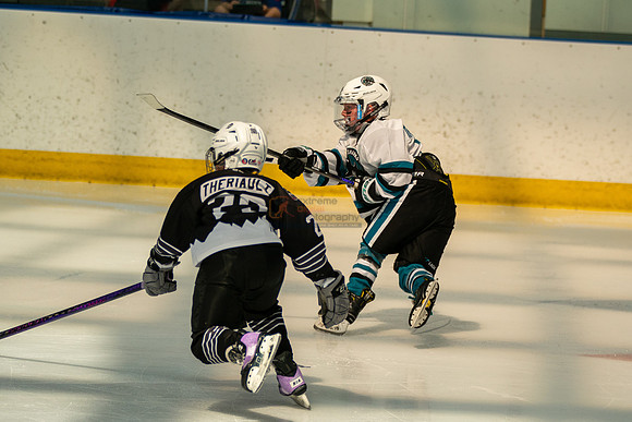 sharks-may2-0116