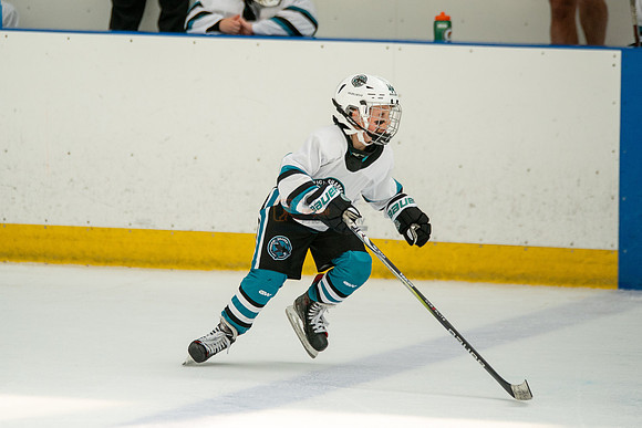 sharks-may2-0500