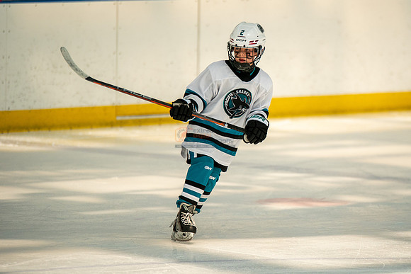 sharks-may2-0175