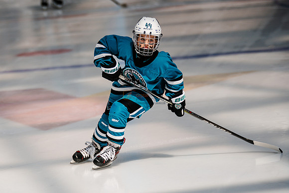 Sharks-may3-0003