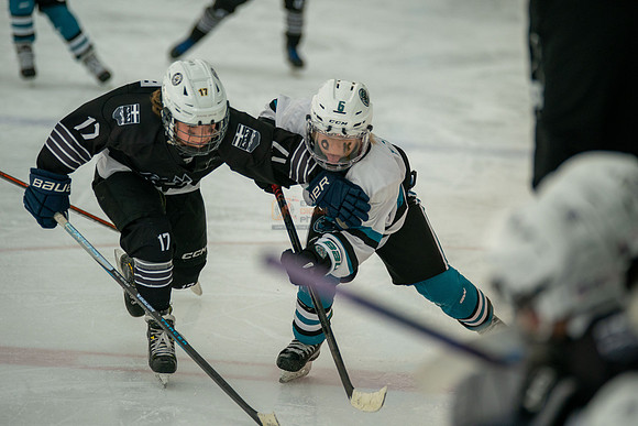 sharks-may2-0179