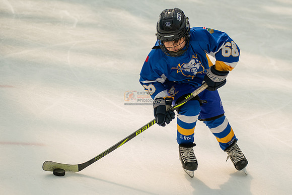 Bisons-2-15