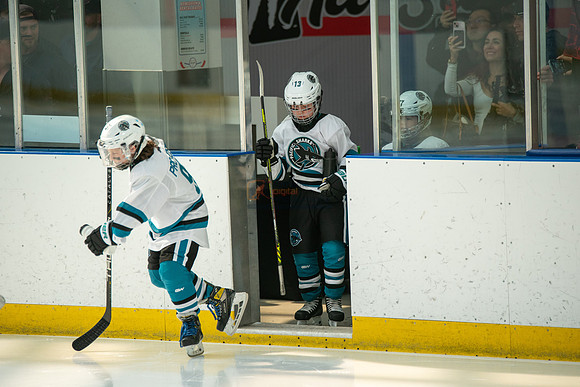 sharks--may1-0011