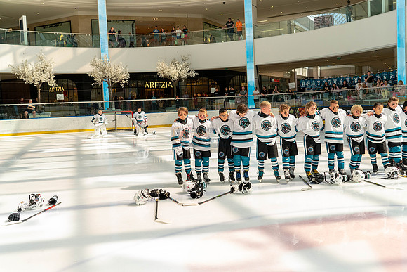 sharks-may2-9551