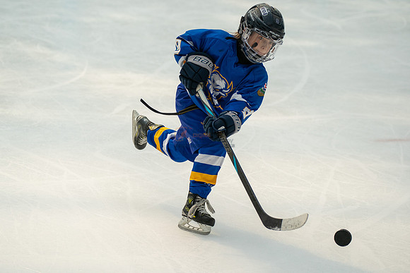 Bisons-2-3