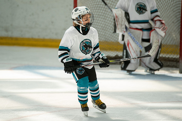 sharks-may2-0299