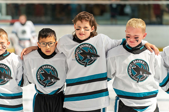 sharks-may2-9556