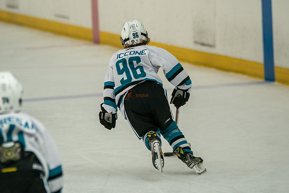 sharks-may2-0273
