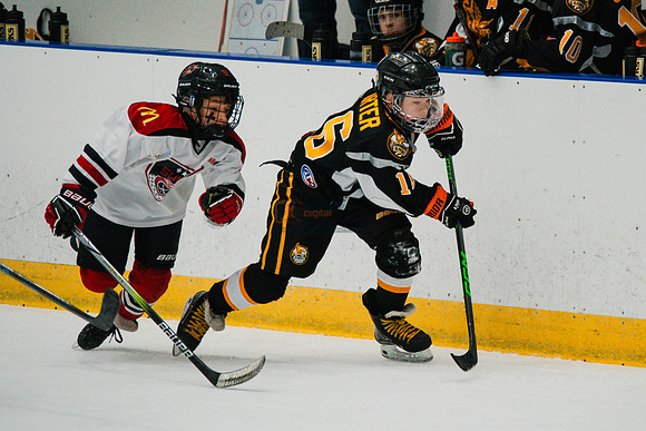 hawksnov92024-261