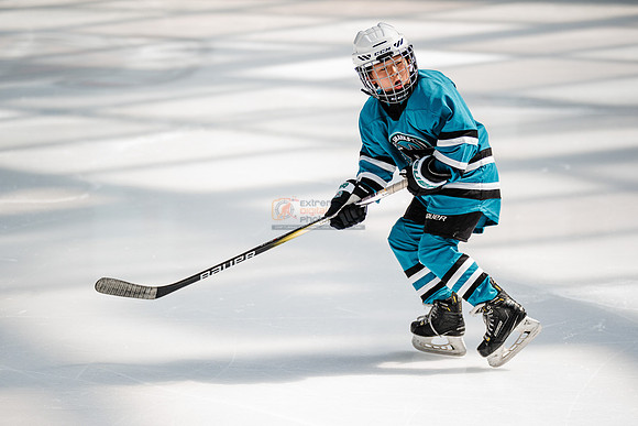 Sharks-may3-0118