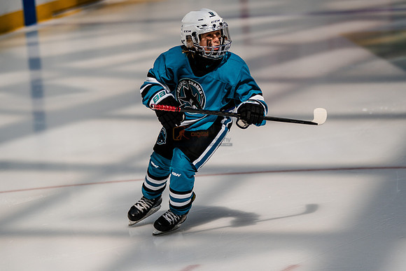 Sharks-may3-0010