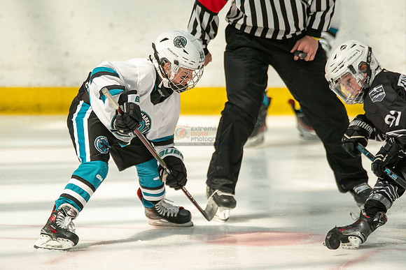 sharks-may2-0247