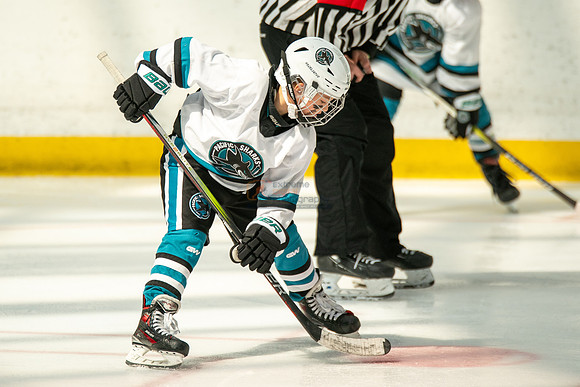 sharks-may2-0244