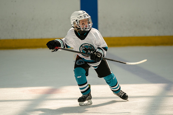 sharks-may2-0426