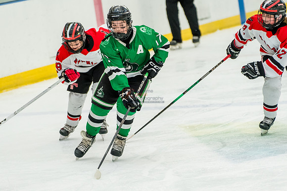 allstar-feb8-Basha-green-9434
