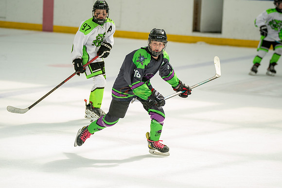 Ravens-0333