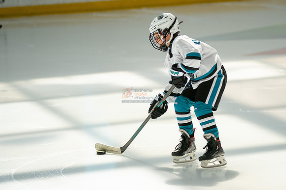sharks-may2-0018