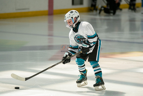 sharks-may2-0045