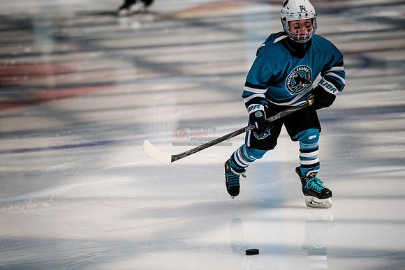 Sharks-may3-0020