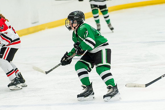 allstar-feb8-Basha-green-9431