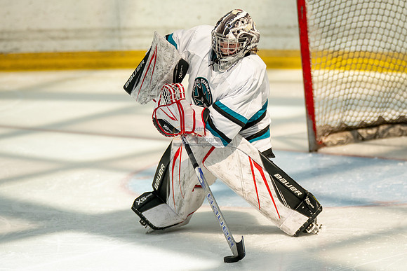 sharks-may2-0087