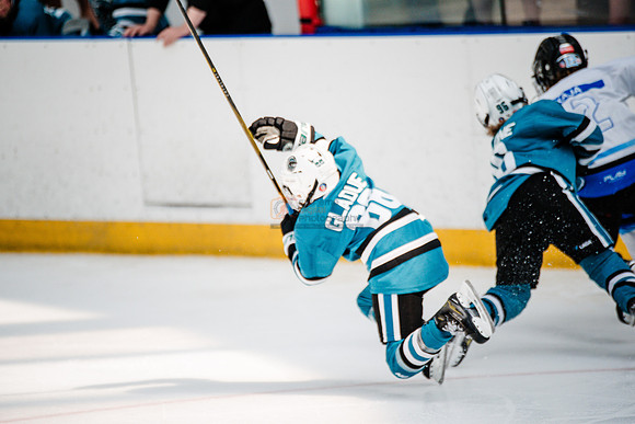 Sharks-may3-0259