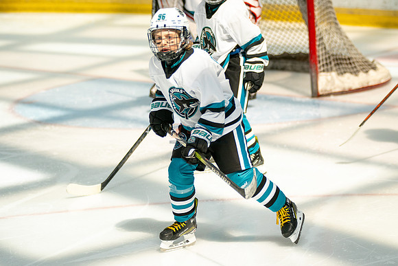sharks-may2-0073