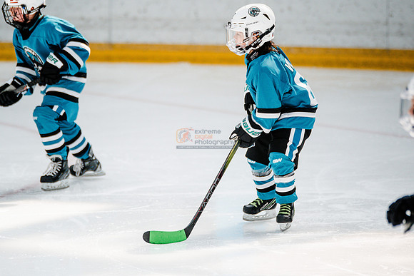 Sharks-may3-0145