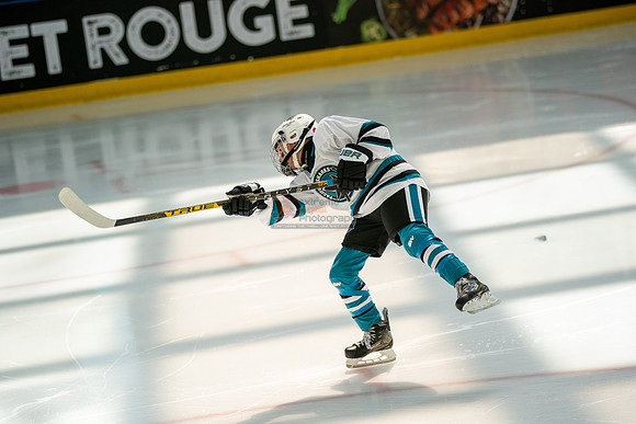 sharks-may2-0022