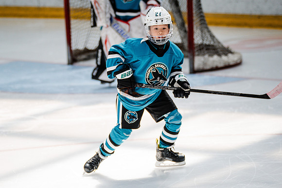 Sharks-may3-0075