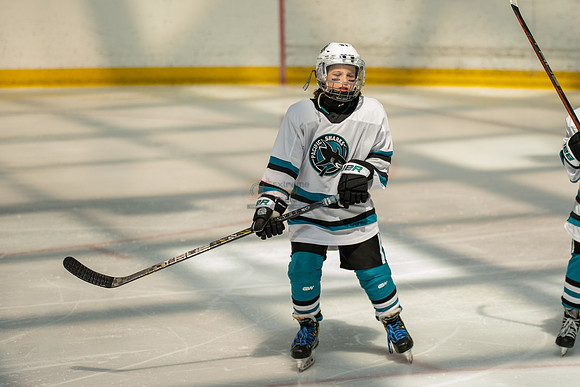 sharks-may2-0096