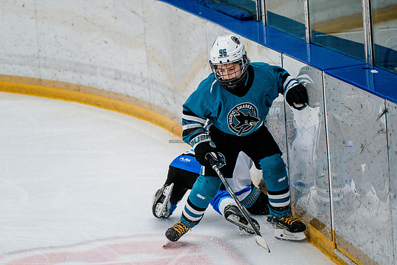 Sharks-may3-0303